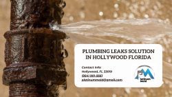 Preventing Water Damage: Plumbing Leaks Hollywood