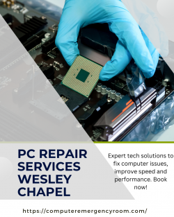 Browse Experienced Technicians For PC Repair Services Wesley Chapel