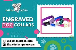 Personalized Pet Identification Accessories