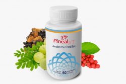 Pineal XT Reviews: Pros and Cons