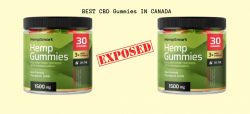 Smart Hemp Gummies Website: Solution For Chronic Pains & Anxiety Relief In 2023