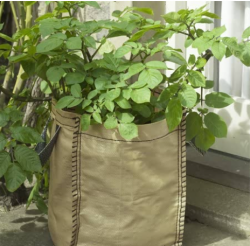 The Ultimate Guide to Grow Bags for Manufacturers and Bulk Orders