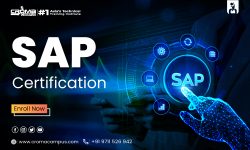 Benefits of SAP Certification for Career