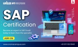 Various Types of SAP Global Certification