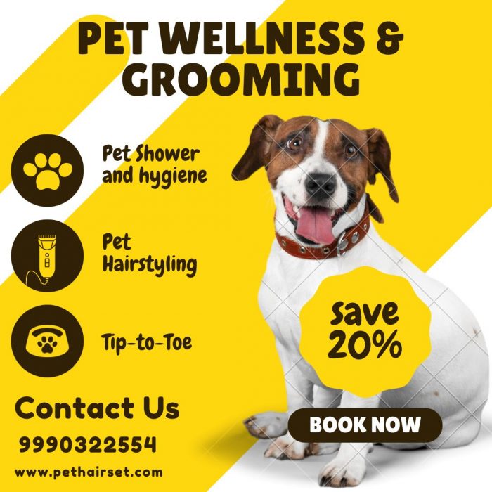 Expert Pet Grooming at Home | Cat & Dog Grooming at Home