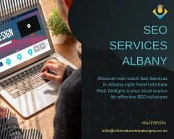 Get effective SEO services albany to reach your audience easily