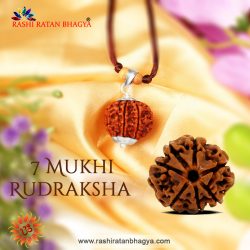 Original 7 Mukhi Rudraksha Online Best Price in India.