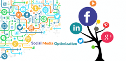 Social Media Optimization Company in the USA