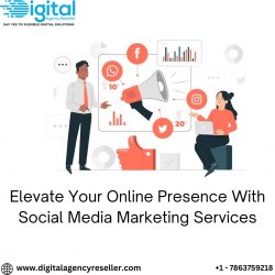 Elevate Your Online Presence With Social Media Marketing Services