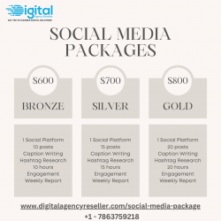 Social Media Marketing Packages – Affordable Pricing Plans