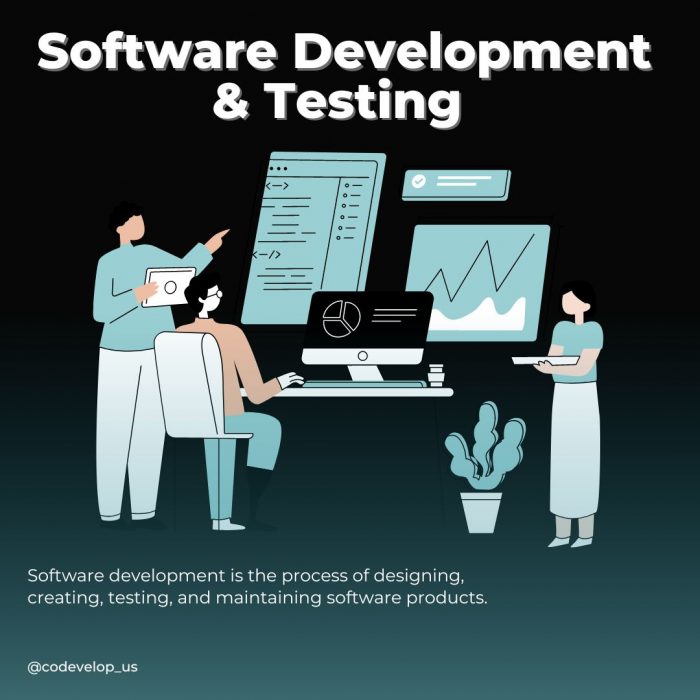 Software Development & Testing