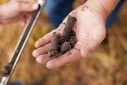 Expert Soil Testing Services in New Jersey