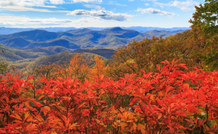 Elevate Your Adventure: Exploring South Carolina’s Stunning Mountains