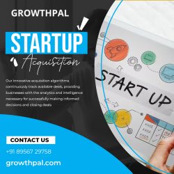 Unlocking Success: A Guide to Startup Acquisition | Growthpal Technologies
