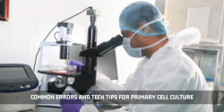 Common Errors And Tech Tips For Primary Cell Culture