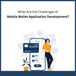 What Are the Challenges of Mobile Wallet Application Development?