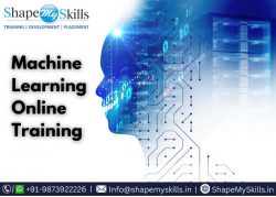 Topmost Machine Learning Online Training at ShapeMySkills