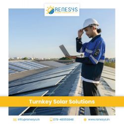 Renesys Power System – Your Turnkey Solar Solutions Provider