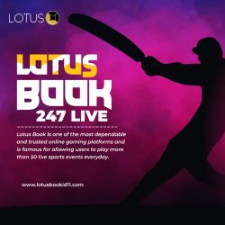 Unlock Endless Entertainment with Lotus Book 247 live Game ID – Lotus Book ID 11