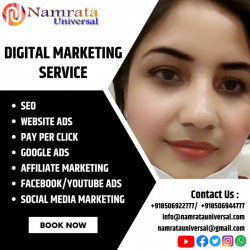 Digital Marketing company in Noida