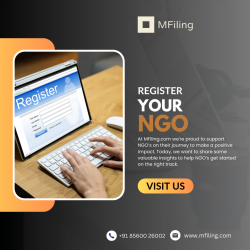 NGO Registration with MFiling.com