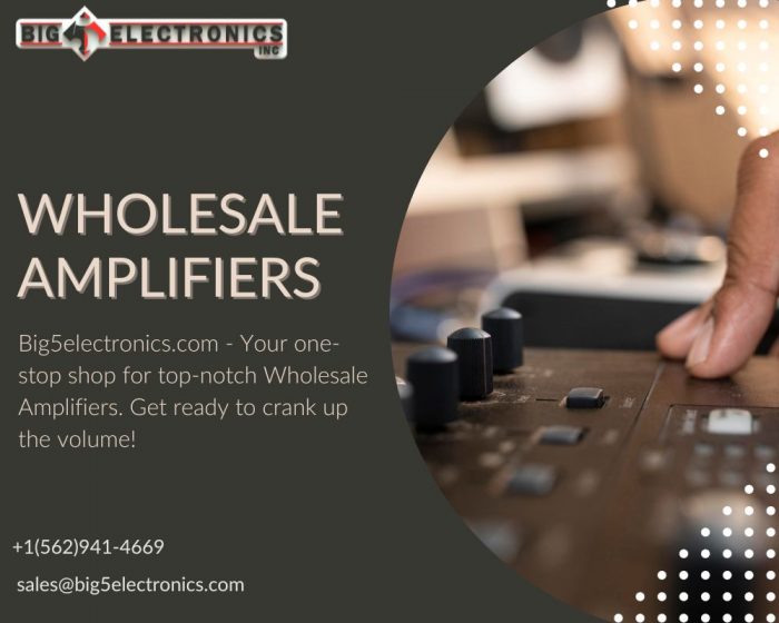 Find wholesale amplifiers at Big 5 electronics with excellent shipping capabilities