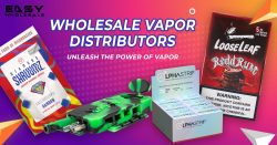 Wholesale Vapor Distributors: Unleash the Power of Vapor