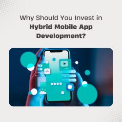 Why Should You Invest in Hybrid Mobile App Development?