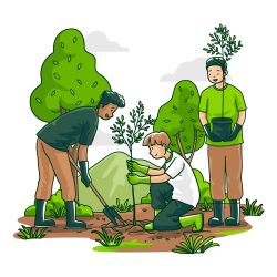 Expert Tree Maintenance Near Me – Universal Tree Care