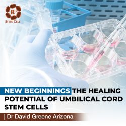 New Beginnings: The Healing Potential of Umbilical Cord Stem Cells | Dr David Greene Arizona