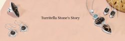 Whimsical Trails: Turritella Jewelry Journeying Through Imagination