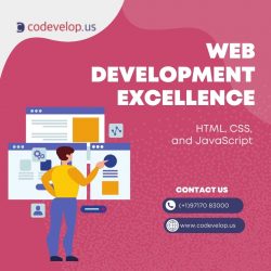 Web Development Excellence