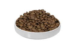 CHEAP WHOLESALE DRY DOG FOOD IN BULK