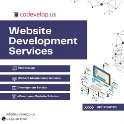 Website development service