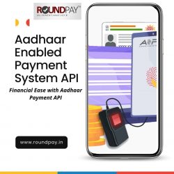 Simplify Transactions with Aadhaar Enabled Payment System API