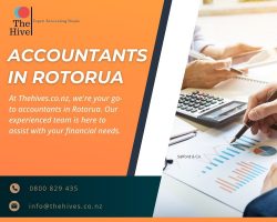 Expert Accountants in Rotorua for Your Financial Needs