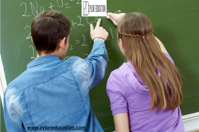 Math Tutor Near Me| Zylor Education