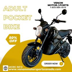 Shop Adult-Size Pocket Bikes for Maximum Excitement – Venom Motorsports Canada