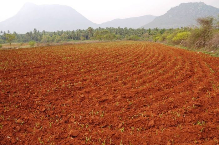 Farm Land for Sale Near Bangalore – Buy Farm Plots for Investment and Cultivation.