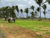 Farm Land For Sale In Hosur – Your Escape to Greenery.
