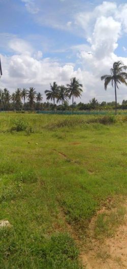 Secure Your Future – Agricultural Land for Sale in Bangalore at Anugraha Farms
