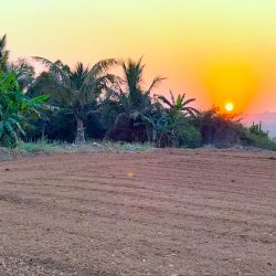 Agricultural Land for Sale in Hosur – Your Opportunity to Cultivate Success