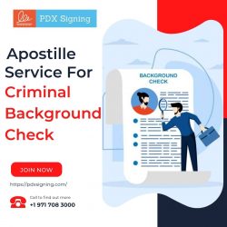 Apostille services for criminal background check