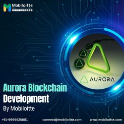 Arora Blockchain Development