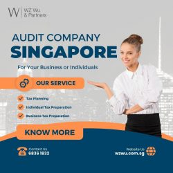 Audit Company Singapore: WZWU – Your Financial Guardian