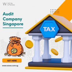 Elevate Your Business’s Financial Fortunes with WZWU: The Leading Audit Company in Singapore!