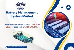 Battery Management System Market Trends, Share, Size, Revenue, Key Manufacturer, Challenges, Gro ...