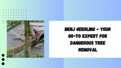 Benj Geerling – Your Go-To Expert for Dangerous Tree Removal