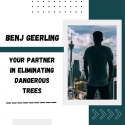 Benj Geerling – Your Partner in Eliminating Dangerous Trees