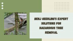 Benj Geerling’s Expert Solutions for Hazardous Tree Removal